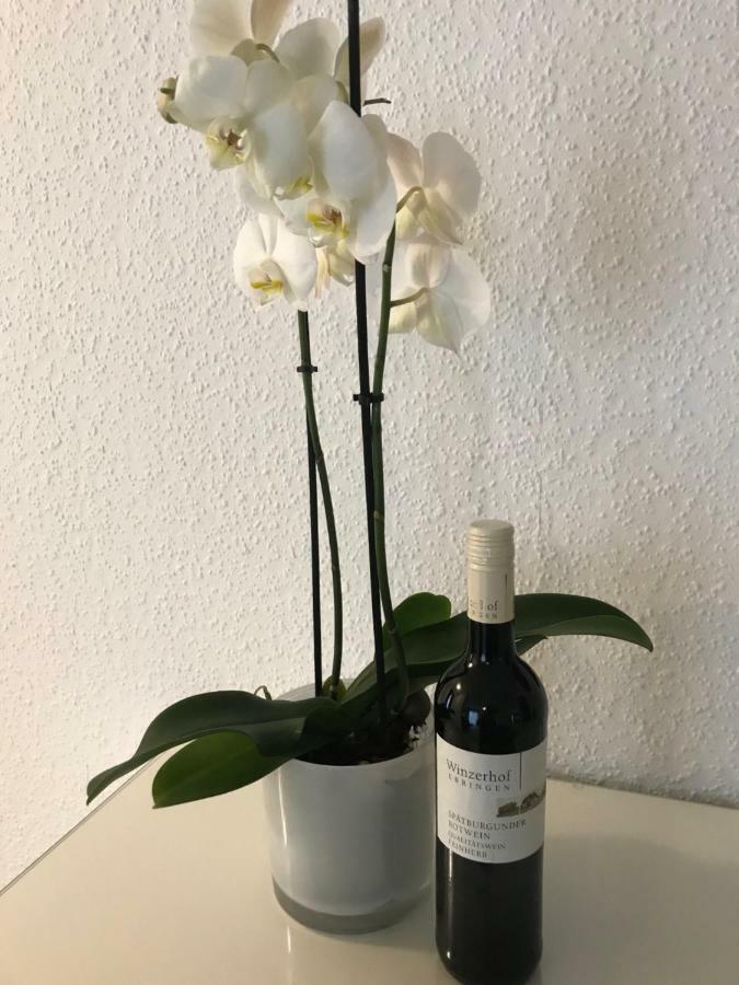 Ferienwohnung Gasser Ebringen المظهر الخارجي الصورة